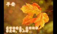 关于最新早晨祝福语图片 暖心的早安祝福语【图】