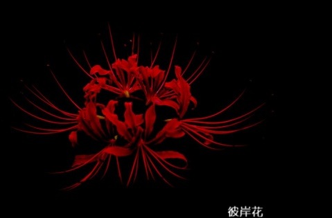 抖音最火精神小伙句子 抖音网红语录