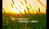 关于十句话穿透人心正能量【图】