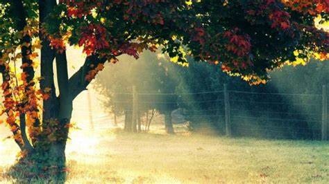 写美好生活的短句,有关美好生活的句子超级好