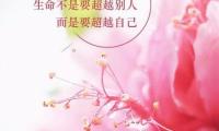 关于追女孩子的早安句子【图】