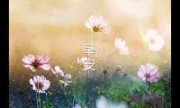 关于真心问候朋友早上好的句子 早安的句子【图】