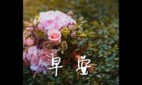 关于最暖心的早安问候【图】