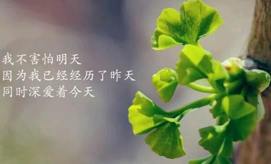 热爱祖国的简短句子 表达自己热爱祖国的话