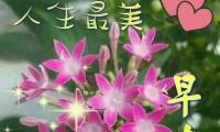 关于充满正能量早安的句子2021【图】