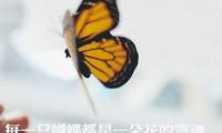 关于晚安的图片和励志的话语【图】