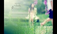 关于对男生表白的甜蜜情话大全【图】