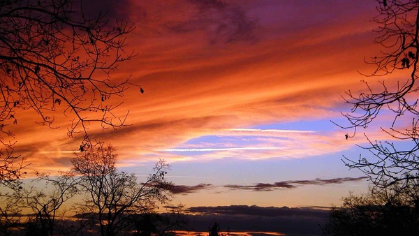 少女心爆炸的撩妹短语文案，抖音少女心爆炸的经典撩妹短语文案·原创