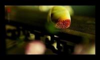 关于让男动情的早安问候语【图】