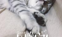 关于给心爱的男人说晚安的句子【图】