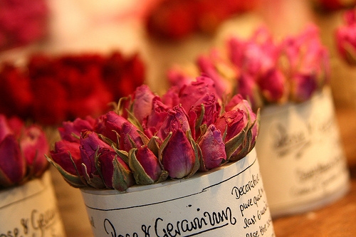 平凡却感动的生日祝福