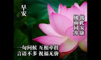 关于幼儿园早晨温馨问候语【图】