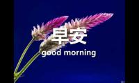 关于早上起床撩人的情话有点污【图】