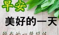 关于幼儿园早安问候语简短【图】