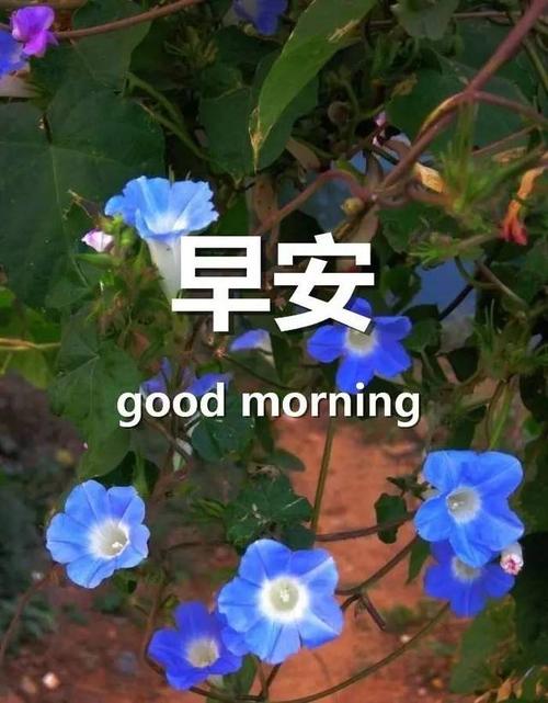 关于给老公的温柔早安问候【图】