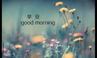 关于为什么什么时候都要说 早上好【图】