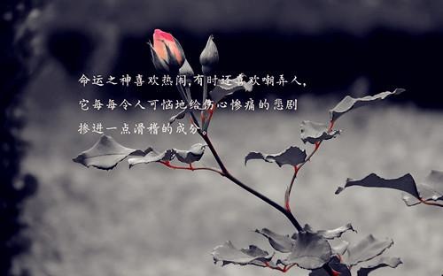 高考鼓励语简短 激励高考生的暖心句子