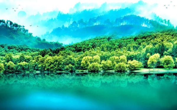 写梅花的诗句 描写梅花品质的诗句