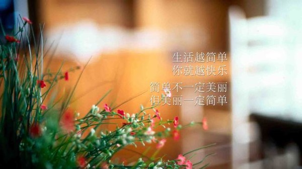 很现实的句子发朋友圈 一个人朋友圈心情短语