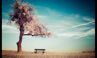 关于清明节扫墓朋友圈说说 清明节扫墓的诗句【图】