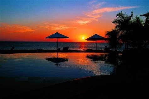 樱花盛开的说说朋友圈 樱花花语唯美句子