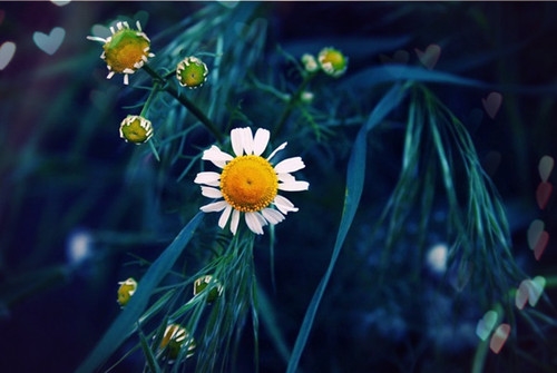 送给背后说人坏话的人发朋友圈句子