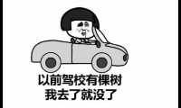 关于学车的搞笑说说【图】