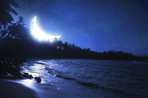 三八妇女节朋友圈文案 妇女节的祝福语句简单