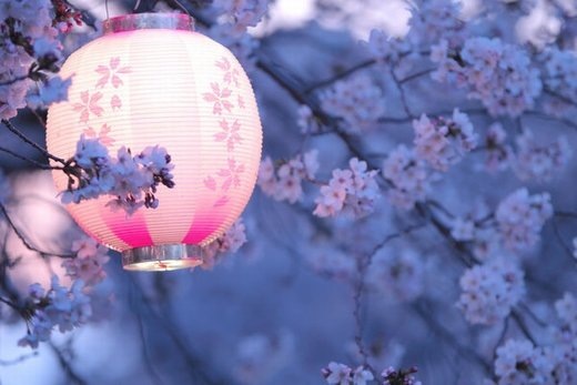 拍油菜花发朋友圈说说 赏油菜花的心情短句