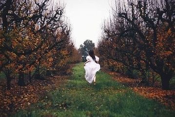 描写春天的景色句子 赞美春天的句子