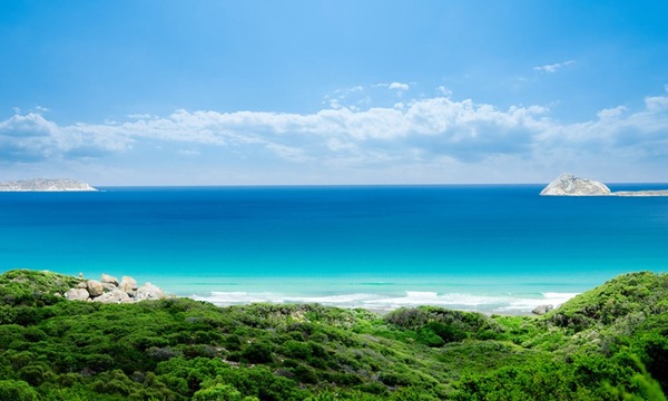 新婚祝词简短精炼 八个字祝愿新婚