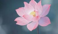关于给女朋友晚安祝福语大全【图】
