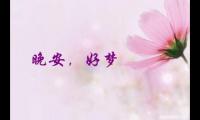 关于朋友圈怎么说晚安最暖心【图】