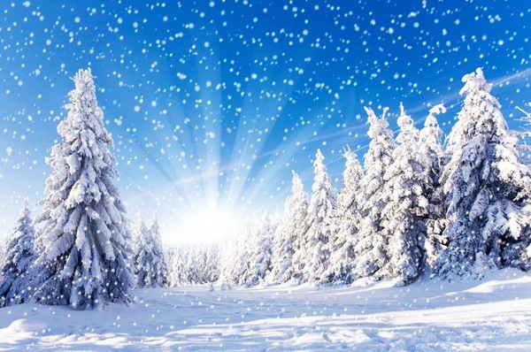 关于雪的优美诗句 雪的经典唯美短句