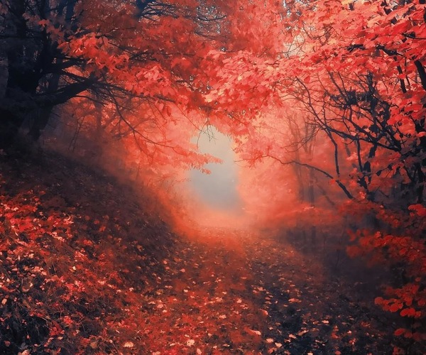 雪景发朋友圈短句 雪景句子唯美简短