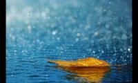 关于雨天深夜失眠的心情说说文案 适合下雨的夜晚发朋友圈的句子【图】