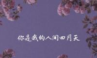 关于林徽因的6句经典语录 句句触动心弦【图】