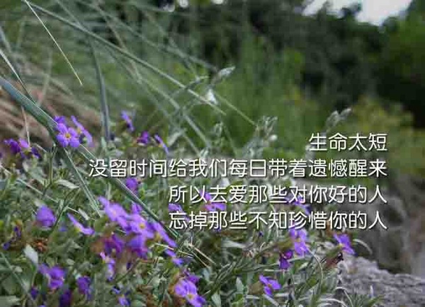 励志的句子经典语句 句句精辟的正能量句子
