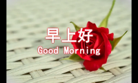 关于恋人早安温馨幽默问候语 早安情侣问候语俏皮【图】