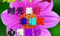 关于早安图片问候语唯美文字 早安美图图片带字【图】