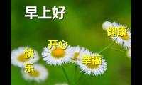 关于正能量句子励志短句早安【图】