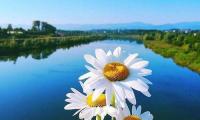 关于和友谊有关的英文名言大全【图】