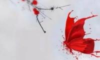 关于偷影子的人精彩语录大全【图】