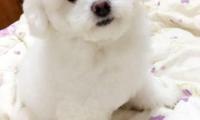 关于教师教育的名人名言【图】