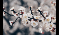 关于立春的祝福语有哪些 适合立春发的祝福语【图】