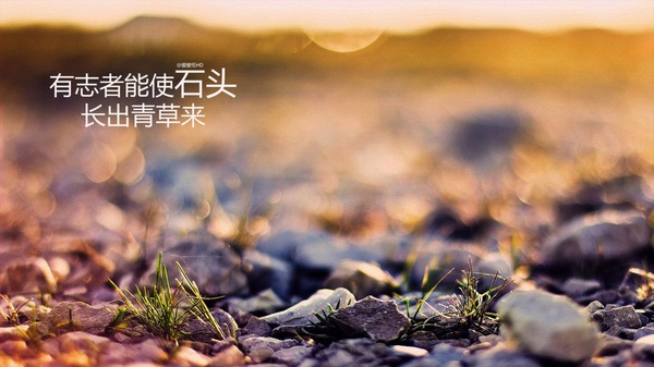 挑战自己的名人名言 挑战自我的经典语录