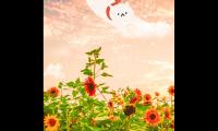 关于对未来充满希望的句子【图】