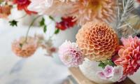 关于情话连篇给女朋友【图】