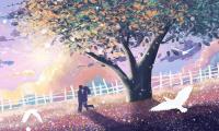 关于爱情语录经典唯美 经典唯美的浪漫句子【图】