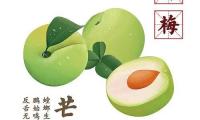 关于芒种祝福语大全 六月芒种祝福语【图】